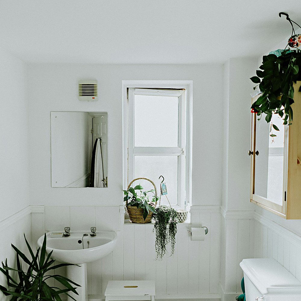 Coastal style bathroom designed by Next Level Design